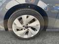 Volkswagen Golf Variant Business TDI Grau - thumbnail 9