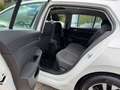 Volkswagen Golf VIII Lim. Style eTSI 1st Edition*Pano*4xSHZ Weiß - thumbnail 16