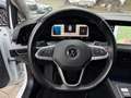Volkswagen Golf VIII Lim. Style eTSI 1st Edition*Pano*4xSHZ Weiß - thumbnail 32