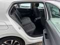 Volkswagen Golf VIII Lim. Style eTSI 1st Edition*Pano*4xSHZ Weiß - thumbnail 20