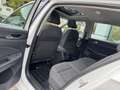 Volkswagen Golf VIII Lim. Style eTSI 1st Edition*Pano*4xSHZ Weiß - thumbnail 15
