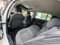 Volkswagen Golf VIII Lim. Style eTSI 1st Edition*Pano*4xSHZ Weiß - thumbnail 17