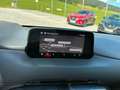 Mazda CX-5 CX-5 CD175 AWD Revolution Top "Leder weiss" Grau - thumbnail 10