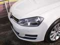 Volkswagen Golf Variant Golf Variant Trendline BMT 1,2 TSI Trendline Weiß - thumbnail 5