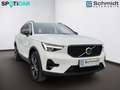 Volvo XC40 Plus, B3 Mild Hybrid, Benzin, Dark Weiß - thumbnail 6