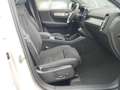 Volvo XC40 Plus, B3 Mild Hybrid, Benzin, Dark Weiß - thumbnail 12