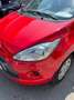 Ford Ka/Ka+ 1.20 Auto-S&S Trend+ Rood - thumbnail 14