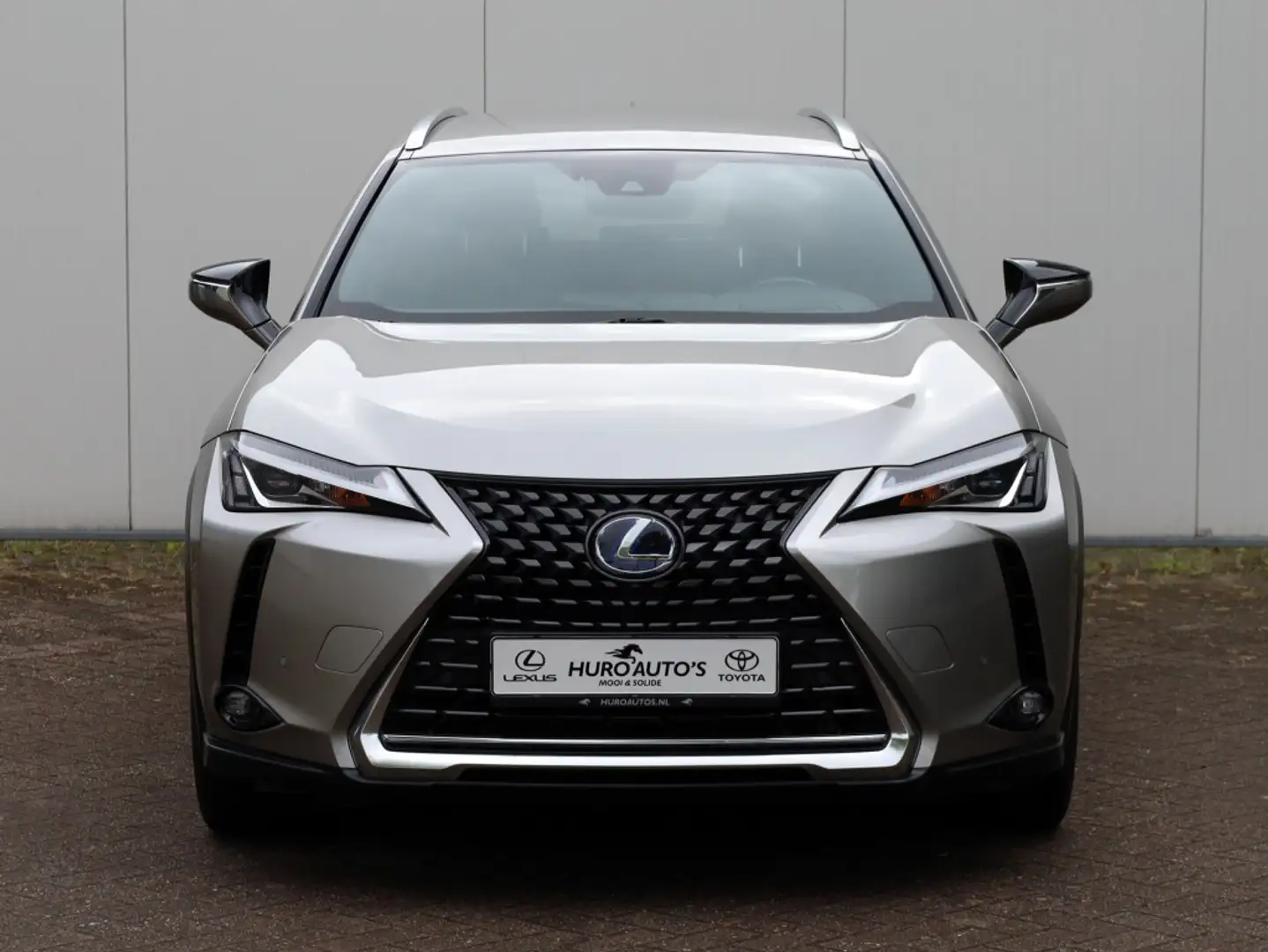 Lexus UX 250h Luxury Line | Leder | Head-up | Dodehoek Grijs - 2