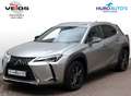 Lexus UX 250h Luxury Line | Leder | Head-up | Dodehoek Grijs - thumbnail 1