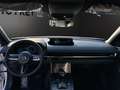 Mazda MX-30 35,5 kWh e-SKYACTIV 145 PS Ad`Vantage Weiß - thumbnail 18