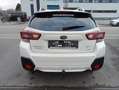 Subaru XV 1.6i-S AWD Luxury/7.204 KM-GARANTIE USINE 07-2026/ Blanc - thumbnail 5