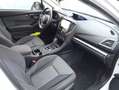 Subaru XV 1.6i-S AWD Luxury/7.204 KM-GARANTIE USINE 07-2026/ Wit - thumbnail 14