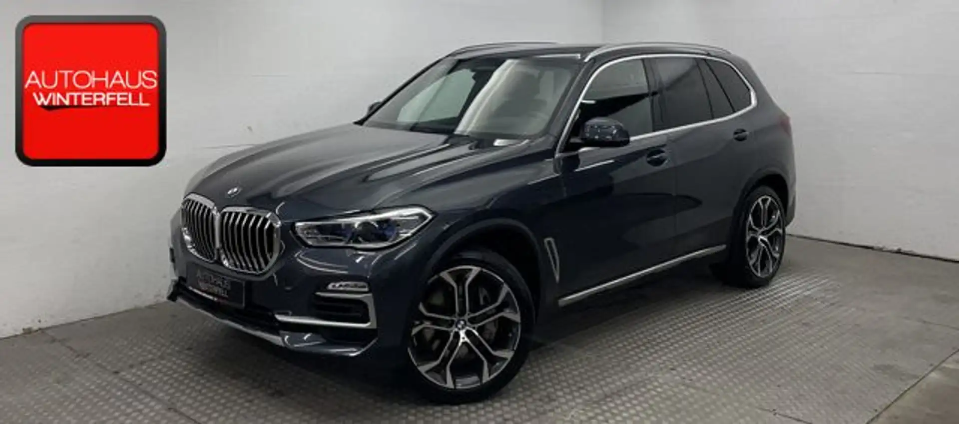BMW X5 xDrive40d xLine M-SPORTLENKRAD +360+HUD+ACC Серый - 1