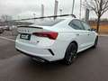 Skoda Octavia 1.4 TSI iV RS * HEAD-UP * TOP-ANGEBOT Weiß - thumbnail 11