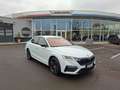 Skoda Octavia 1.4 TSI iV RS * HEAD-UP * TOP-ANGEBOT Weiß - thumbnail 13