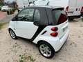smart forTwo Fortwo 1.0 Pulse 71cv Weiß - thumbnail 3