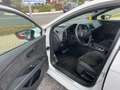SEAT Leon Cupra 300 4Drive Blanco - thumbnail 11