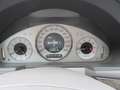 Mercedes-Benz E 500 AVANTGARD Niebieski - thumbnail 9