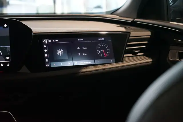 Audi SQ5 view 15