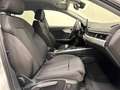 Audi A4 AVANT 35 TDI S-TRONIC BUSINESS ADVANCED Bianco - thumbnail 8