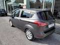 Ford B-Max 1.0 EcoBoost 125 CV Titanium Grigio - thumbnail 8