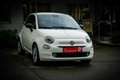Fiat 500 FireFly Hybrid 70 *NAVI*CARPLAY*ANDROID AUTO*PDC* Weiß - thumbnail 10