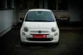Fiat 500 FireFly Hybrid 70 *NAVI*CARPLAY*ANDROID AUTO*PDC* Weiß - thumbnail 8