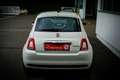 Fiat 500 FireFly Hybrid 70 *NAVI*CARPLAY*ANDROID AUTO*PDC* Weiß - thumbnail 13
