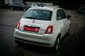 Fiat 500 FireFly Hybrid 70 *NAVI*CARPLAY*ANDROID AUTO*PDC* Weiß - thumbnail 14