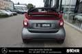 smart forTwo fortwo EQ cabrio passion/SHZ/Tempomat/LMR-15" Grau - thumbnail 11