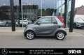 smart forTwo fortwo EQ cabrio passion/SHZ/Tempomat/LMR-15" Grau - thumbnail 2