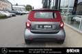 smart forTwo fortwo EQ cabrio passion/SHZ/Tempomat/LMR-15" Grau - thumbnail 8