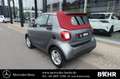 smart forTwo fortwo EQ cabrio passion/SHZ/Tempomat/LMR-15" Grau - thumbnail 3