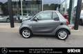 smart forTwo fortwo EQ cabrio passion/SHZ/Tempomat/LMR-15" Grau - thumbnail 10