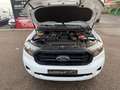 Ford Ranger Doble Cabina 2.0 EcoBlue S&S XL 4x4 170 Blanco - thumbnail 28