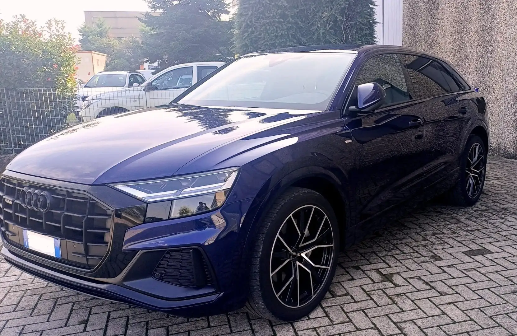 Audi Q8 45 3.0 tdi Sport quattro Tiptronic- Unicopropriet. Blu/Azzurro - 2