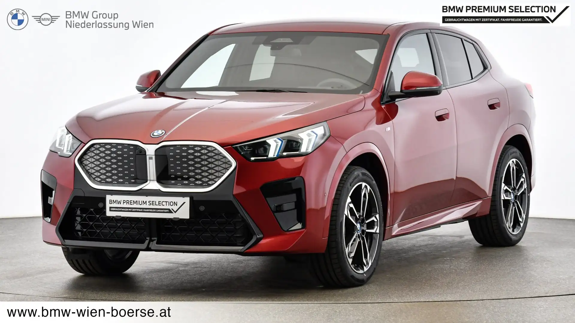 BMW iX2 eDrive20 Rot - 1