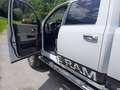Dodge RAM Dodge RAM  2500 Weiß - thumbnail 8