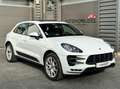 Porsche Macan 3.6 V6 TURBO 400 PDK - 1ère main Weiß - thumbnail 3
