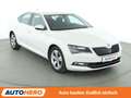 Skoda Superb 2.0 TDI Ambition *BI-XENON*TEMPO*PDC* Weiß - thumbnail 8