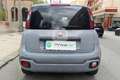 Fiat Panda Panda 1.2 City Cross Argento - thumbnail 6