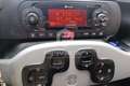Fiat Panda Panda 1.2 City Cross Argento - thumbnail 15