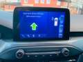Ford Focus Active 2.0 Diesel Blau - thumbnail 10