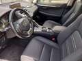 Lexus NX 300 Hybrid 4WD Executive Gris - thumbnail 5