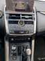 Lexus NX 300 Hybrid 4WD Executive Сірий - thumbnail 14