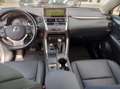 Lexus NX 300 Hybrid 4WD Executive Grau - thumbnail 6
