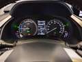 Lexus RX 450h Executive Grigio - thumbnail 21
