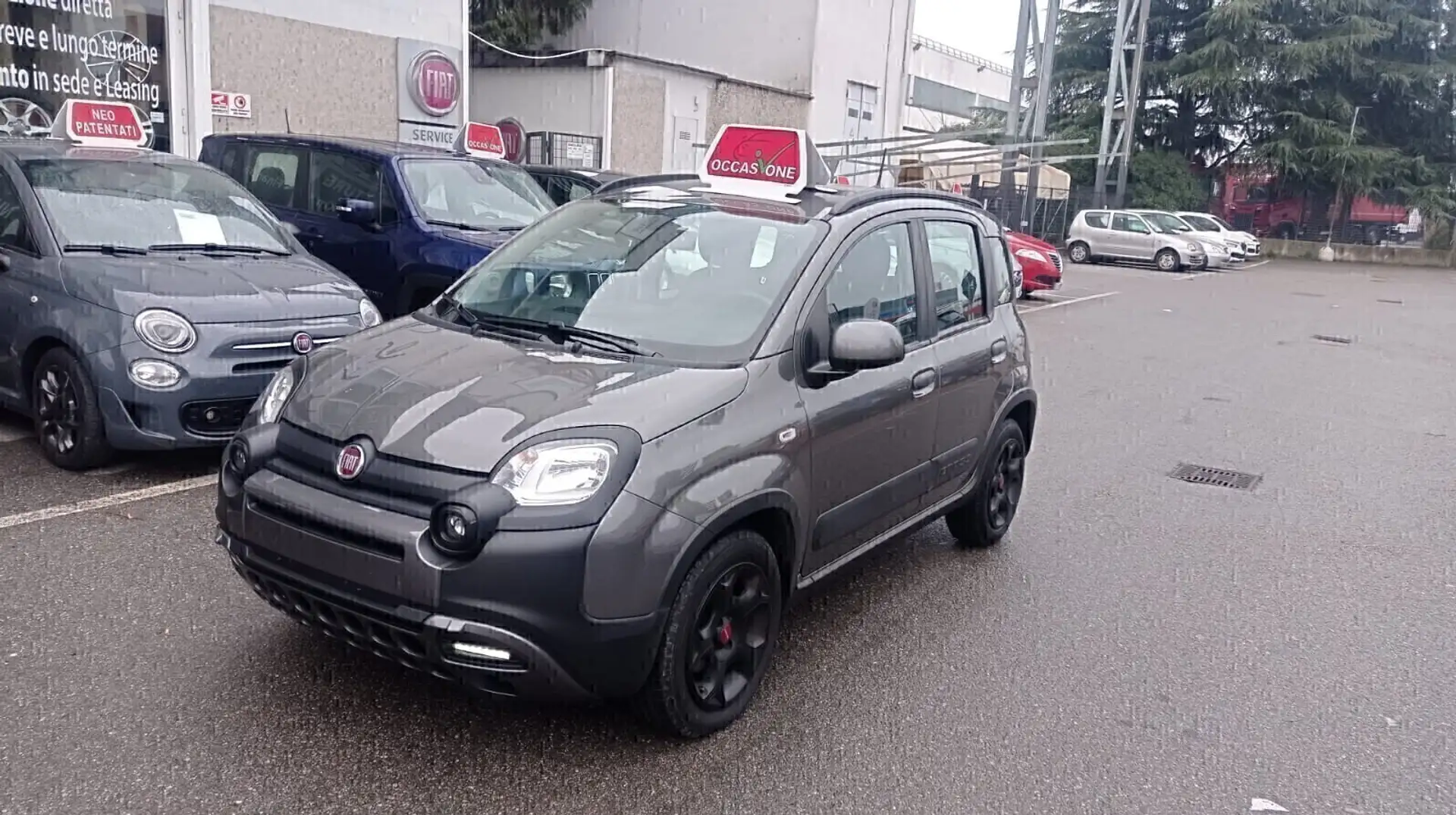 Fiat Panda Cross 1.0 FireFly S&S Hybrid *PREZZO REALE* Gris - 2