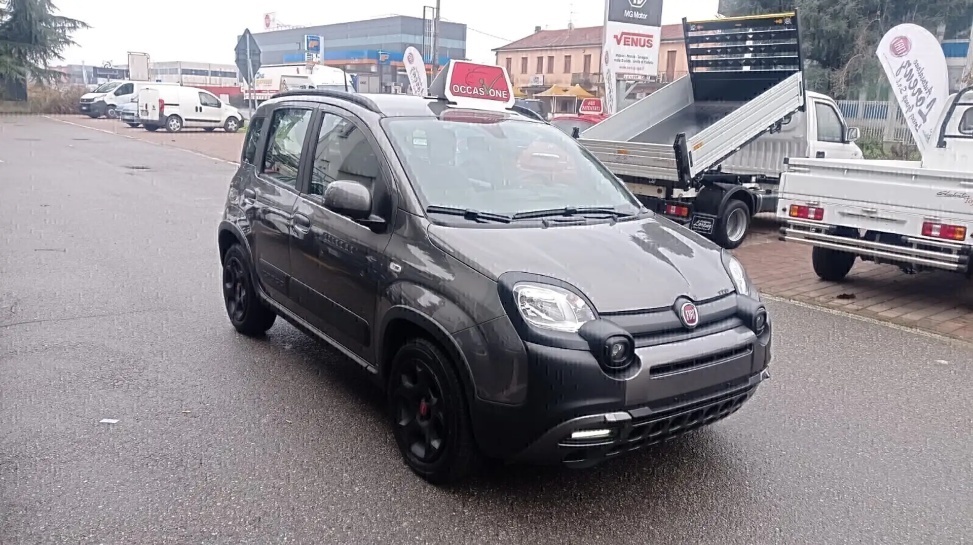Fiat Panda Cross 1.0 FireFly S&S Hybrid *PREZZO REALE* Gris - 1