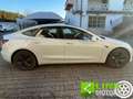 Tesla Model 3 Standard RWD Plus Bianco - thumbnail 8